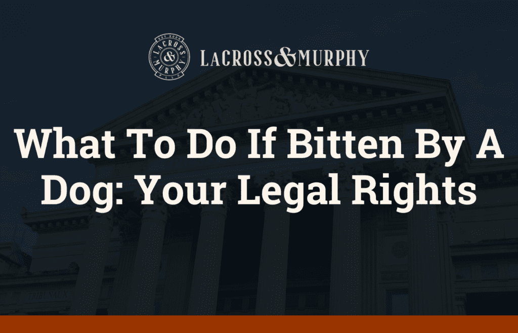 What To Do If Bitten By A Dog: Your Legal Rights