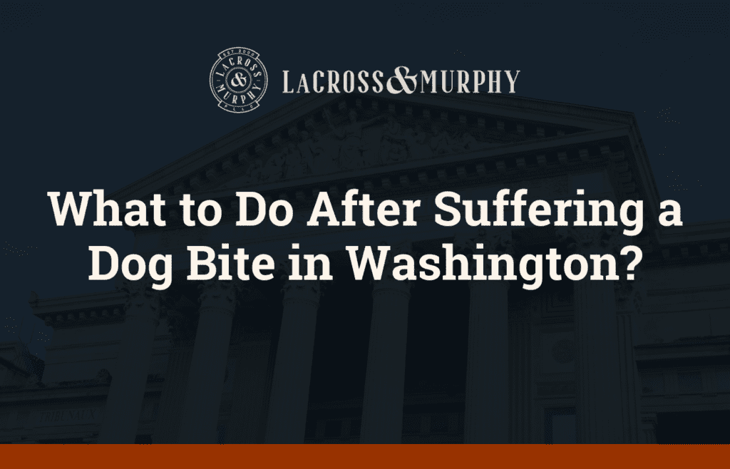 What to Do After Suffering a Dog Bite in Washington - LaCross and Murphy - Port Orchard Washington Criminal Defense Law Firm