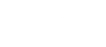 WSAJ EAGLE 2025 White