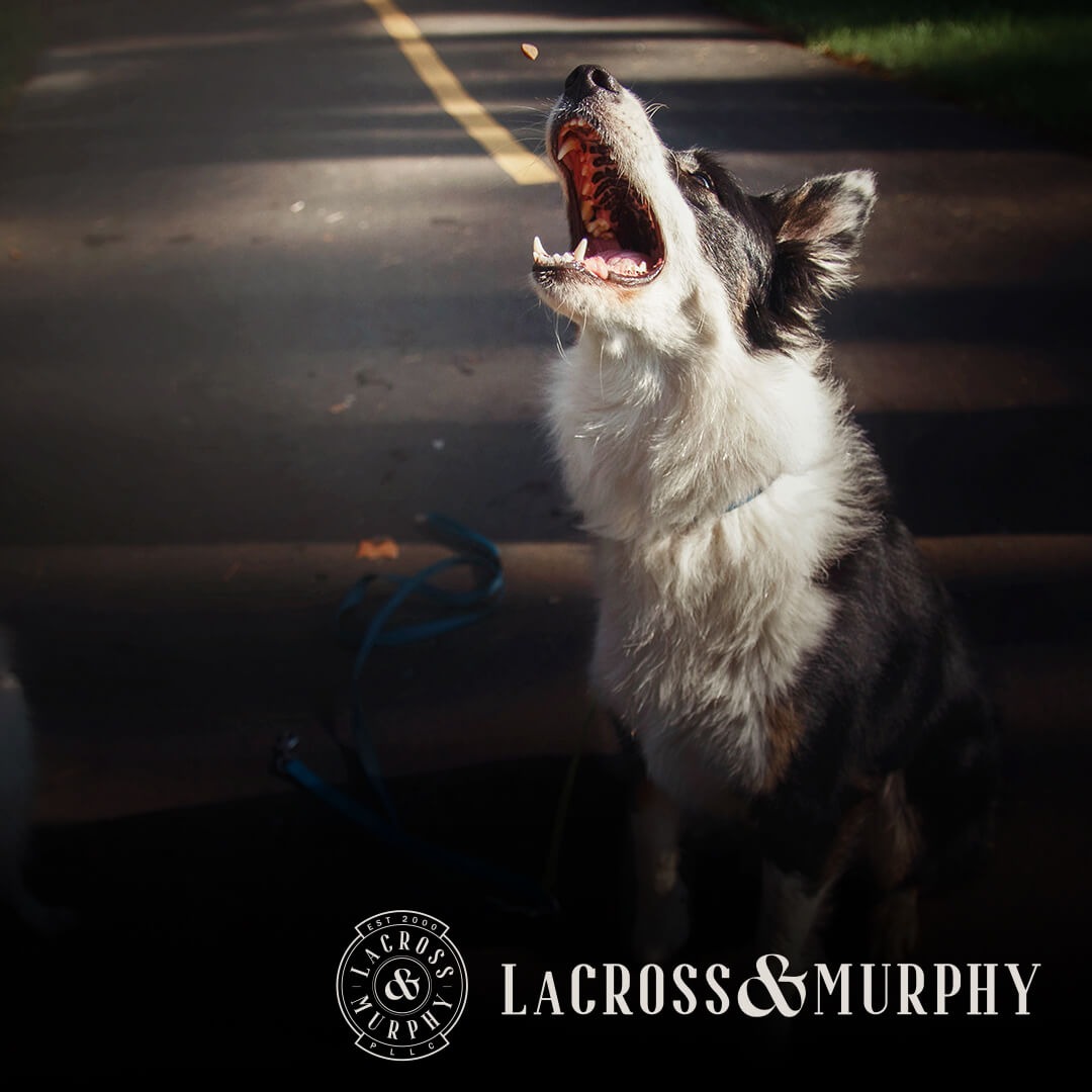 LaCross & Murphy - Dedicated Personal Injury Attorney in Seabeck WA - Dog Bites